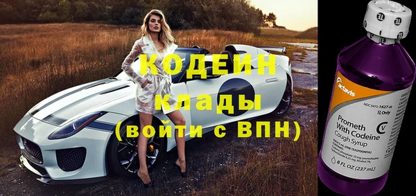 крисы Елизово