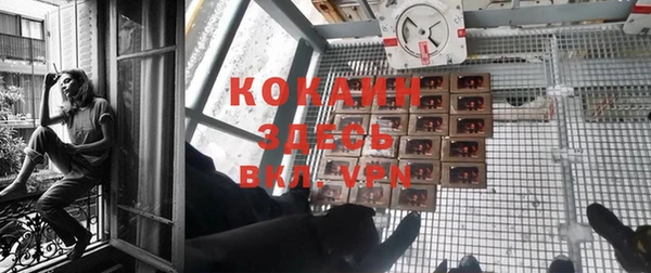 крисы Елизово