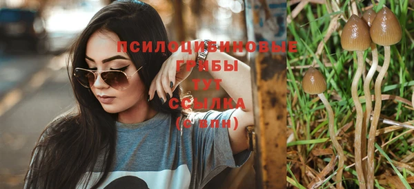 каннабис Ельня