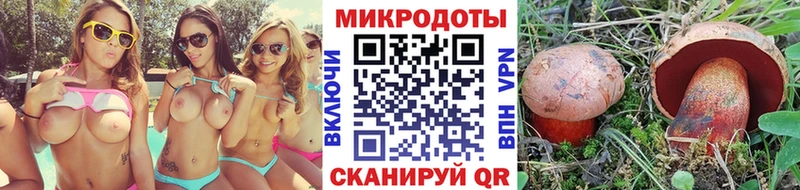 Псилоцибиновые грибы Cubensis  Купить  Медногорск 
