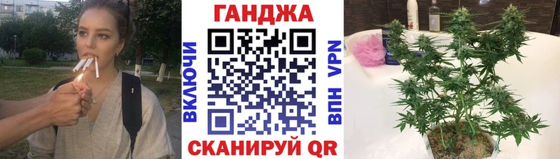 Канабис сатива  Купить  Медногорск 